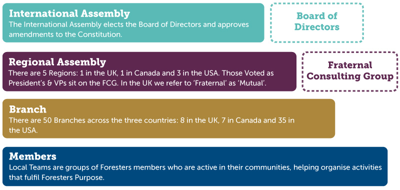 Chart showing the Foresters Financial Member Governance Structure
